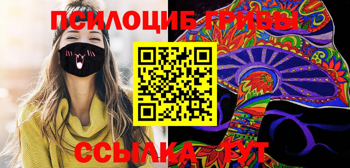 Заводоуковск  Галлюциногенные грибы MAGIC MUSHROOMS  Вход с VPN  Псилоцибиновые грибы ЛСД 